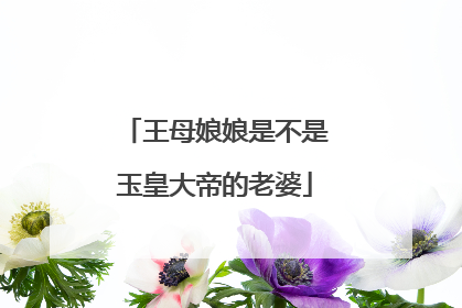 王母娘娘是不是玉皇大帝的老婆
