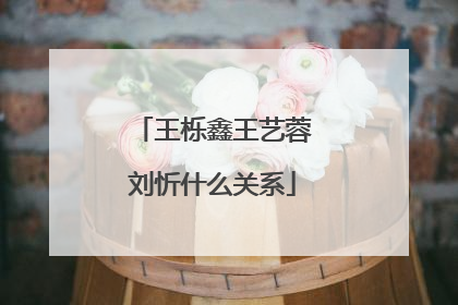 王栎鑫王艺蓉刘忻什么关系