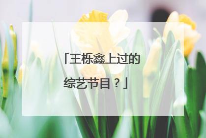 王栎鑫上过的综艺节目？