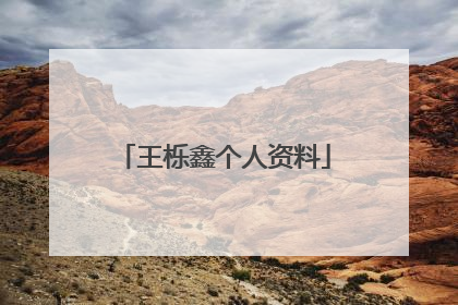 王栎鑫个人资料