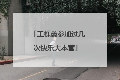 王栎鑫参加过几次快乐大本营