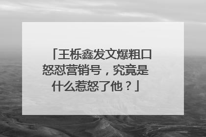 王栎鑫发文爆粗口怒怼营销号,究竟是什么惹怒了他?