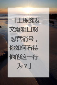 王栎鑫发文爆粗口怒怼营销号，你如何看待他的这一行为？