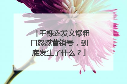 王栎鑫发文爆粗口怒怼营销号，到底发生了什么？