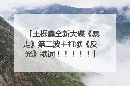 王栎鑫全新大碟《暴走》第二波主打歌《反光》歌词!!!!!