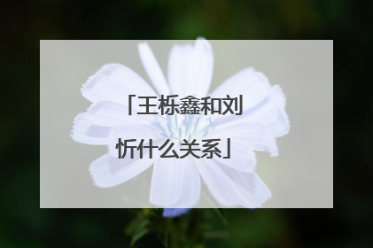 王栎鑫和刘忻什么关系