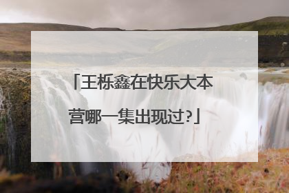王栎鑫在快乐大本营哪一集出现过?