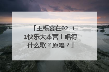 王栎鑫在02.11快乐大本营上唱得什么歌？原唱？