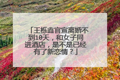 王栎鑫官宣离婚不到10天，和女子同进酒店，是不是已经有了新恋情？