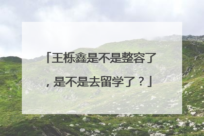 王栎鑫是不是整容了,是不是去留学了?