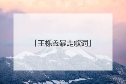 王栎鑫暴走歌词