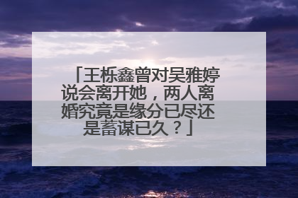 王栎鑫曾对吴雅婷说会离开她,两人离婚究竟是缘分已尽还是蓄谋已久?