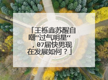 王栎鑫苏醒自嘲“过气明星“，07届快男现在发展如何？