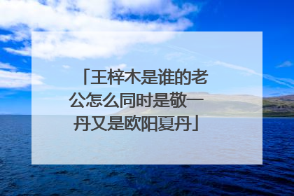 王梓木是谁的老公怎么同时是敬一丹又是欧阳夏丹
