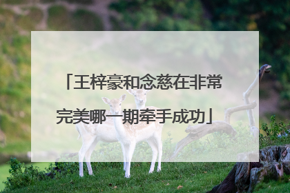 王梓豪和念慈在非常完美哪一期牵手成功