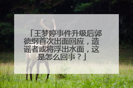 王梦婷事件升级后郭德纲首次出面回应,造谣者或将浮出水面,这是怎么回事?