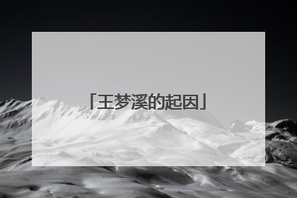 王梦溪的起因