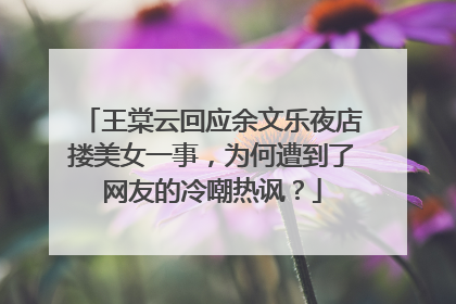 王棠云回应余文乐夜店搂美女一事,为何遭到了网友的冷嘲热讽?