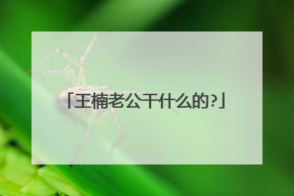 王楠老公干什么的?