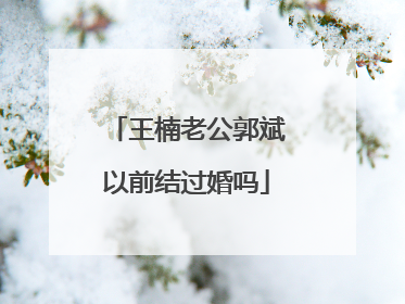 王楠老公郭斌以前结过婚吗