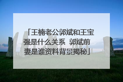 王楠老公郭斌和王宝强是什么关系 郭斌前妻是谁资料背景揭秘