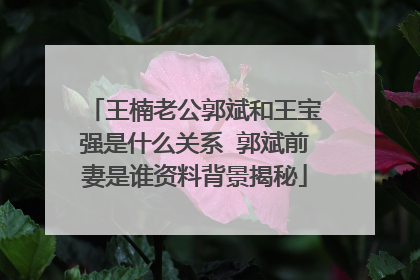 王楠老公郭斌和王宝强是什么关系 郭斌前妻是谁资料背景揭秘