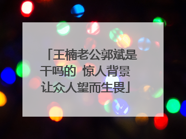 王楠老公郭斌是干吗的 惊人背景让众人望而生畏