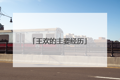 王欢的主要经历