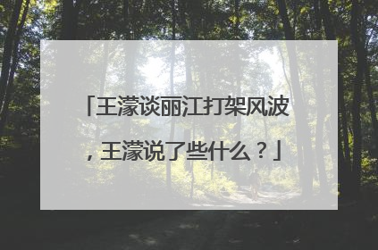 王濛谈丽江打架风波，王濛说了些什么？
