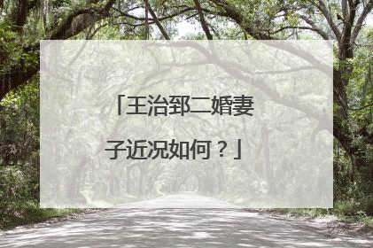 王治郅二婚妻子近况如何？