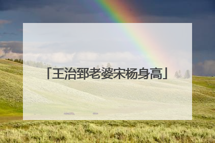 王治郅老婆宋杨身高