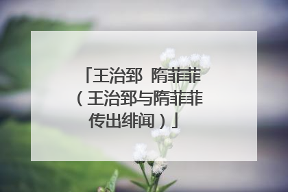 王治郅 隋菲菲（王治郅与隋菲菲传出绯闻）