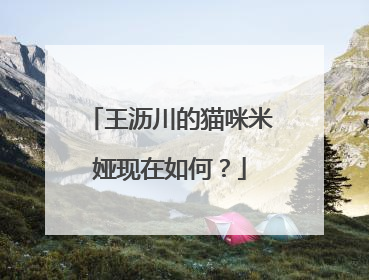 王沥川的猫咪米娅现在如何？