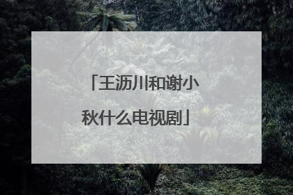 王沥川和谢小秋什么电视剧