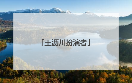 王沥川扮演者