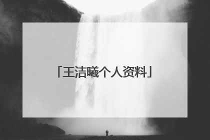 王洁曦个人资料