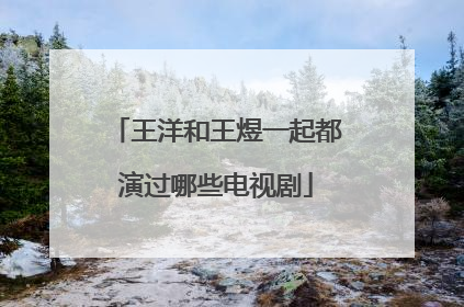 王洋和王煜一起都演过哪些电视剧