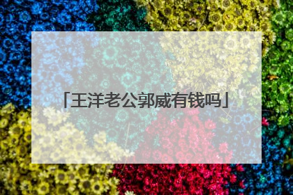 王洋老公郭威有钱吗