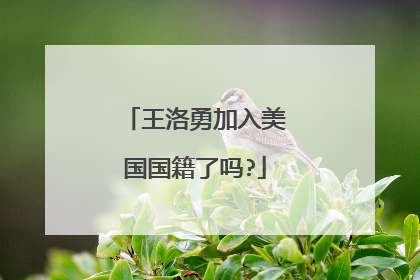 王洛勇加入美国国籍了吗?