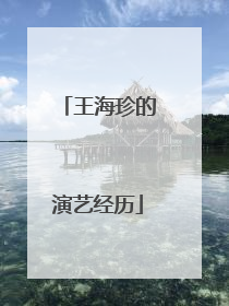 王海珍的演艺经历