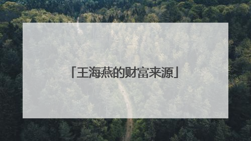 王海燕的财富来源