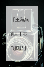 王海燕前夫王志飞图片