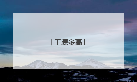 王源多高