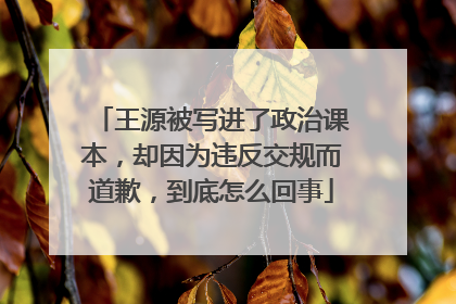 王源被写进了政治课本，却因为违反交规而道歉，到底怎么回事