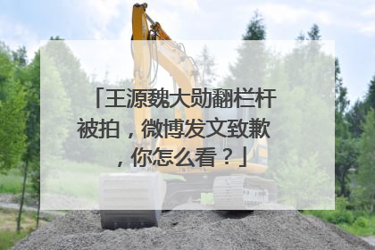 王源魏大勋翻栏杆被拍，微博发文致歉，你怎么看？