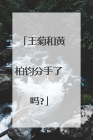 王菊和黄柏钧分手了吗?
