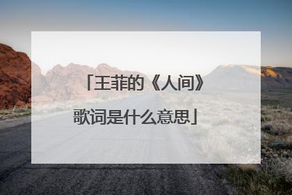 王菲的《人间》歌词是什么意思