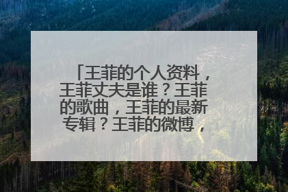 王菲的个人资料,王菲丈夫是谁?王菲的歌曲,王菲的最新专辑?王菲的微博,王菲的博客?
