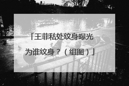 王菲私处纹身曝光 为谁纹身?(组图)