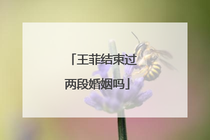 王菲结束过两段婚姻吗